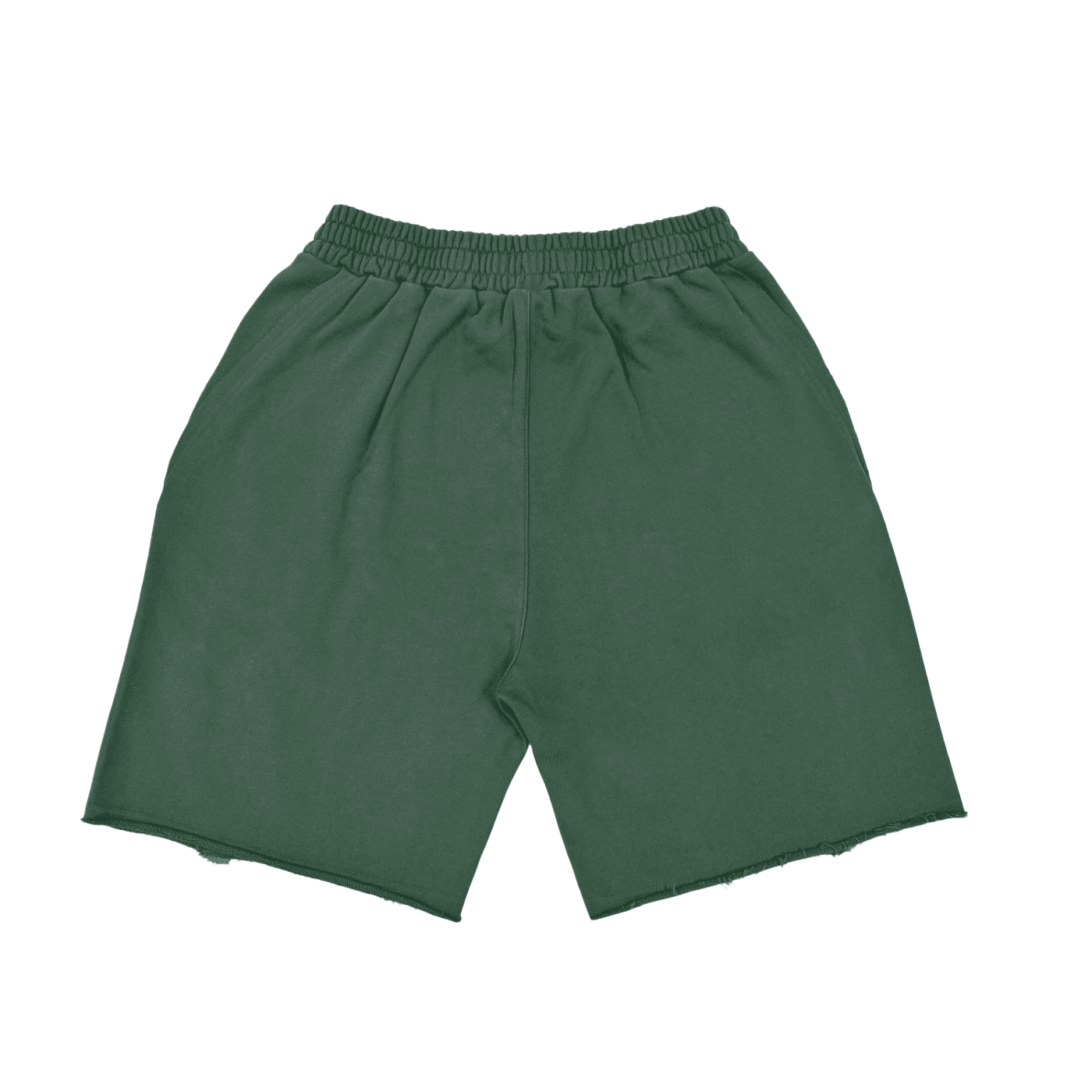 PLANEcloths Vintage Washed Up Tiger Shorts