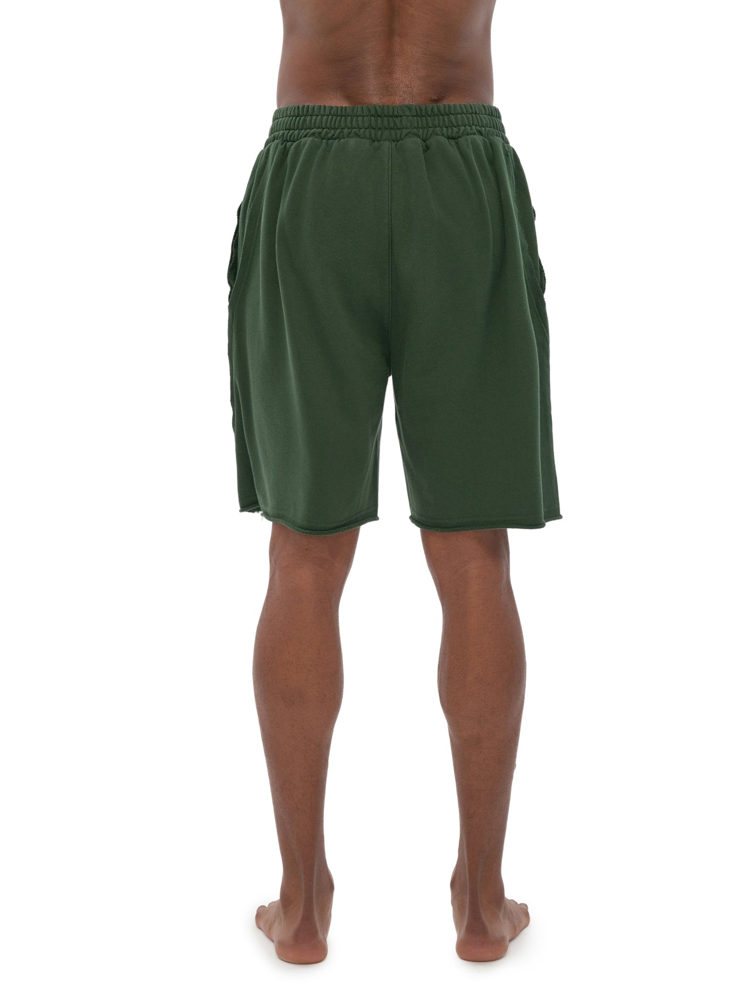 PLANEcloths Vintage Washed Up Tiger Shorts