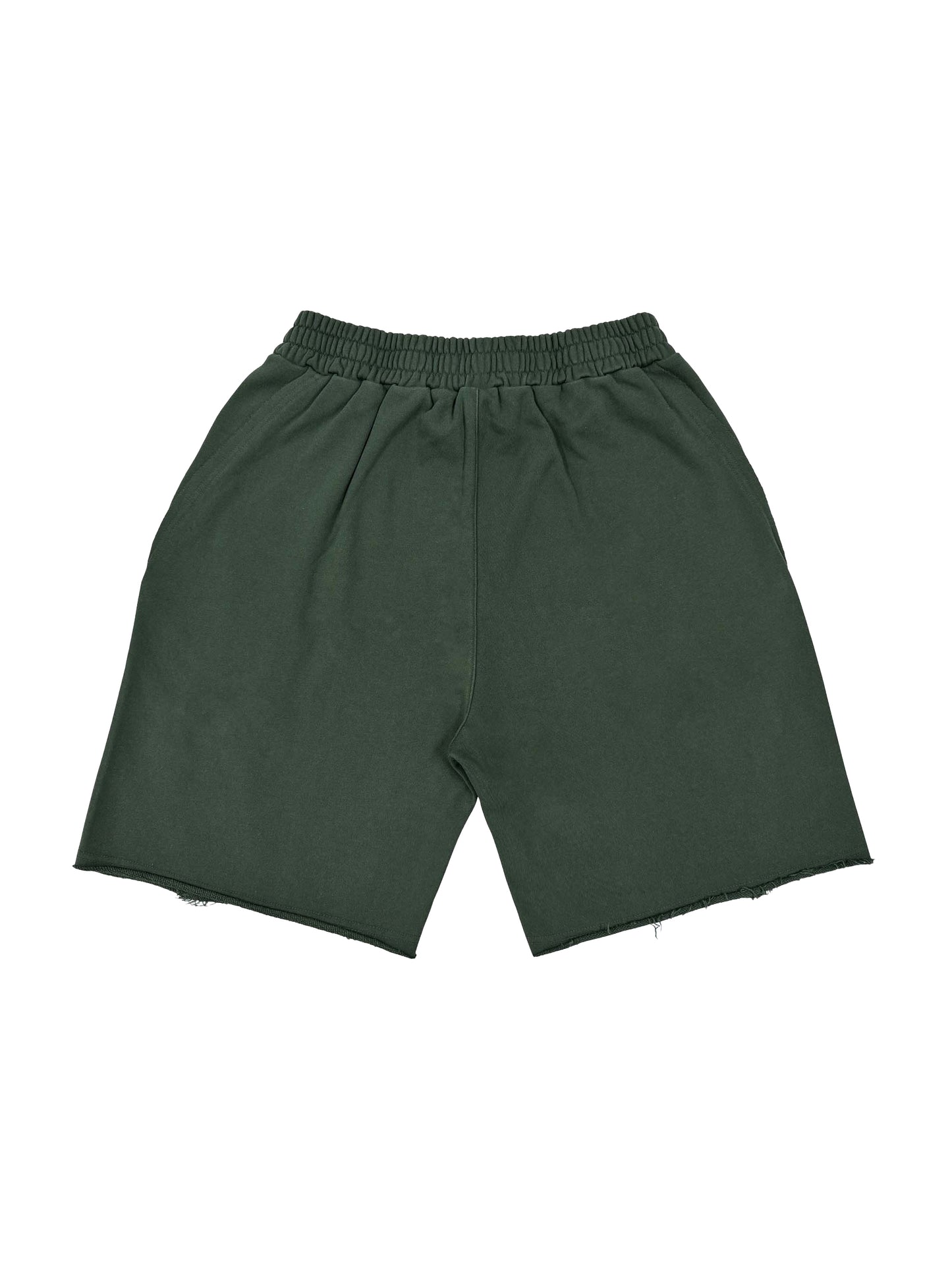 PLANEcloths Vintage Washed Up Tiger Shorts